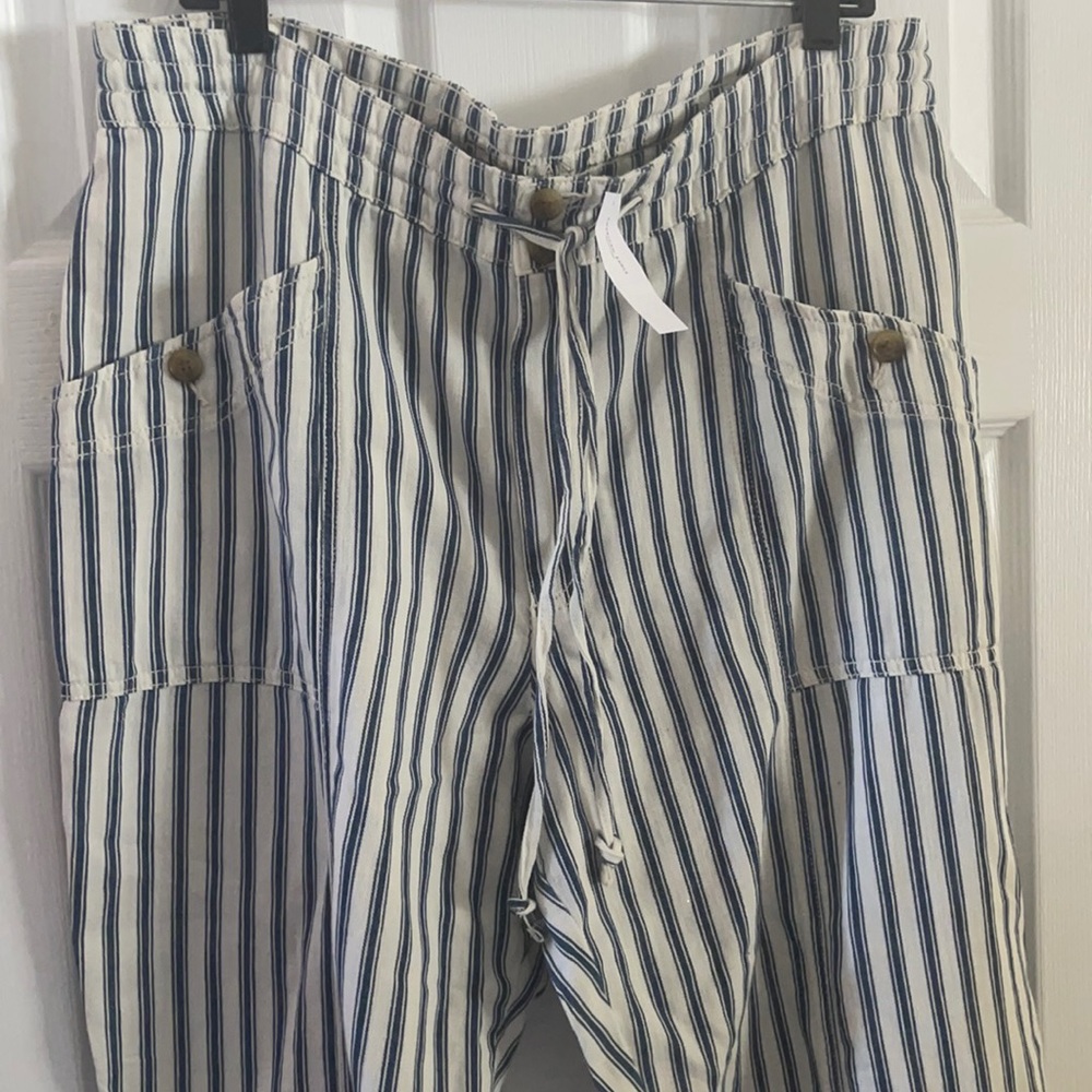 American eagle women size 18 pants